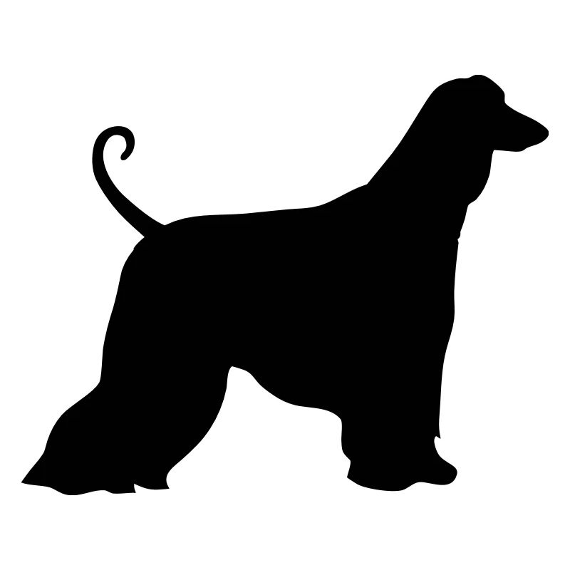 Afghan Hound