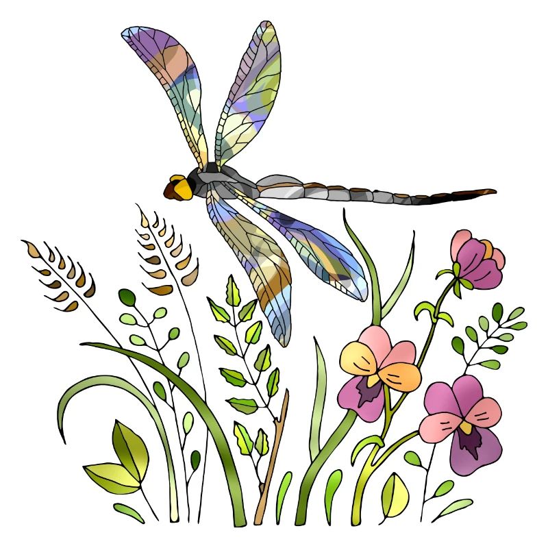 Libellule