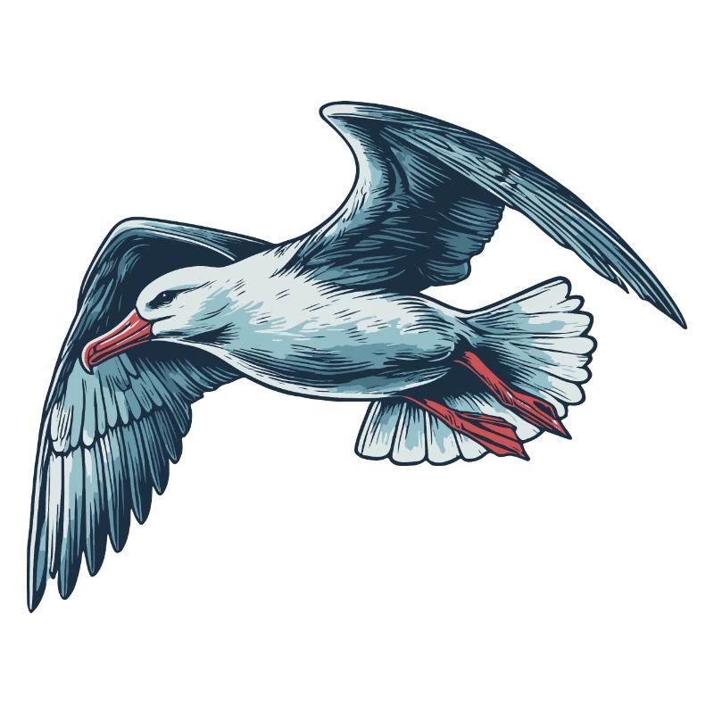 Albatross