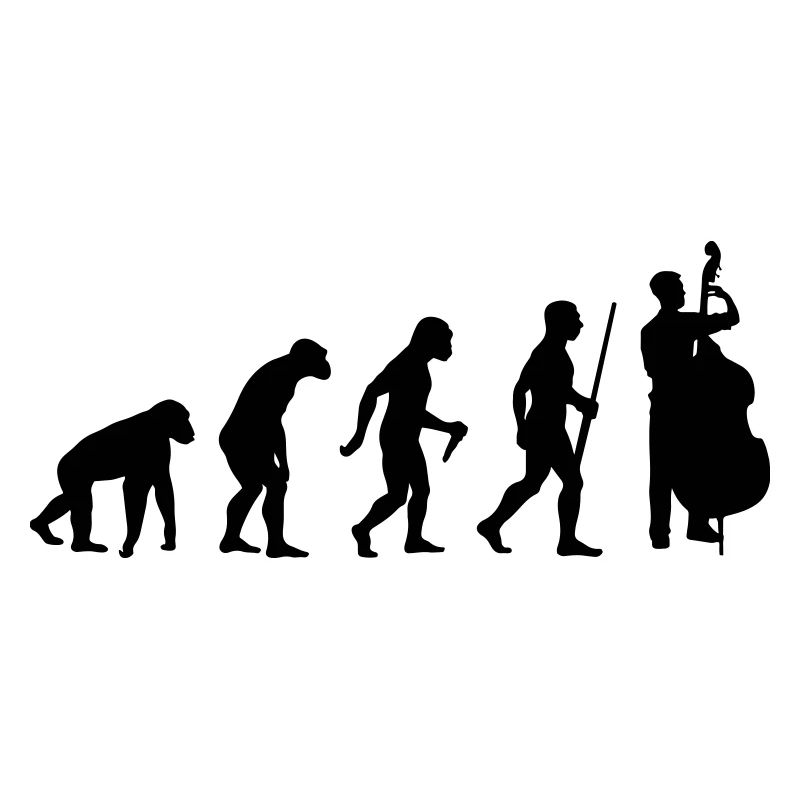 Évolution de la contrebasse