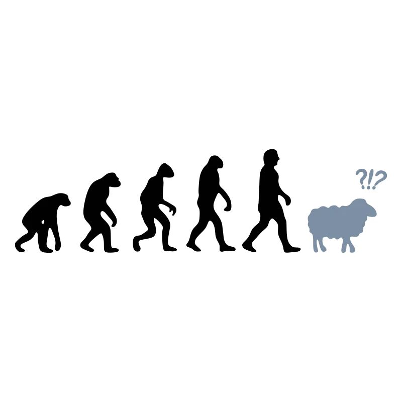 evolution mouton