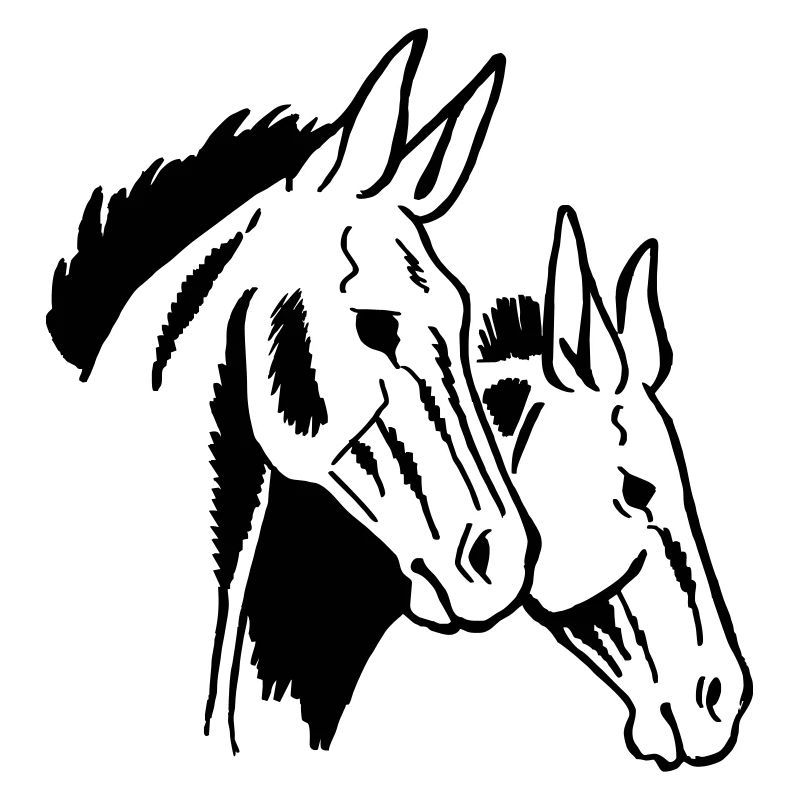 Two Mules