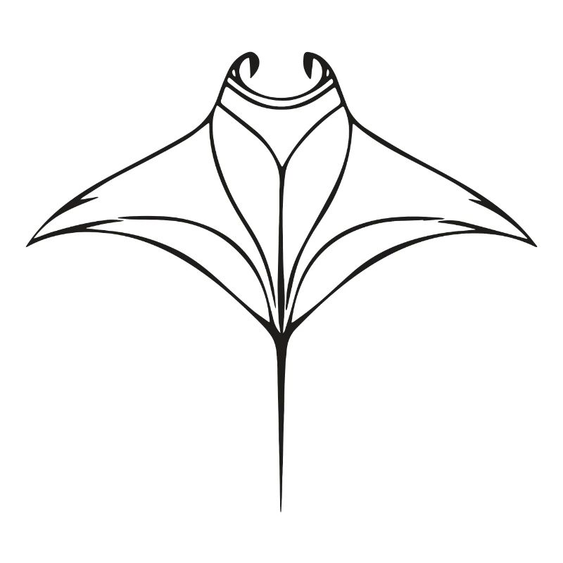 Manta rays in elegant flight