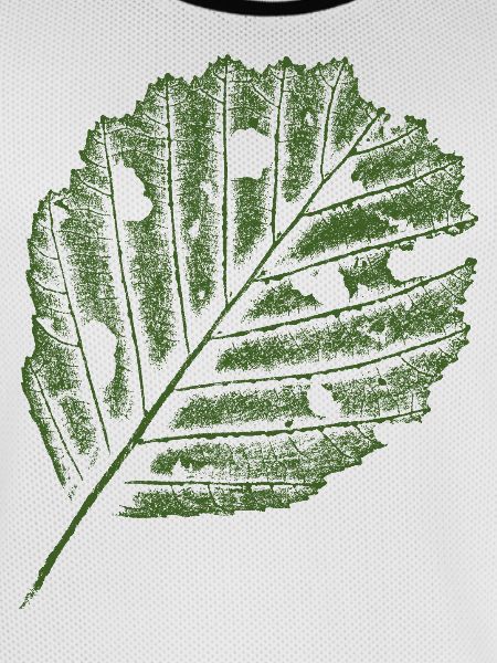 Leaf Print - Alder