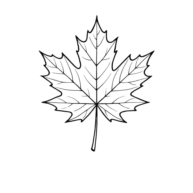 Maple Leaf Line Design