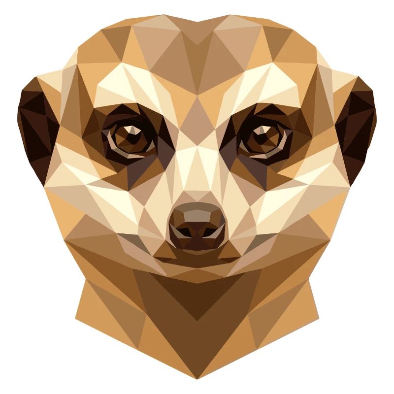 Suricate Suricate Douce Mangouste Suricate