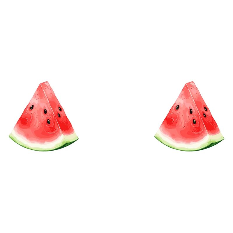 Pastèque pastèque 