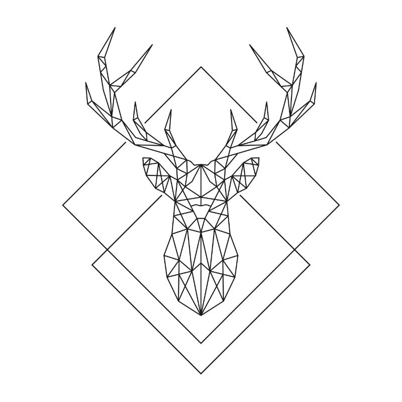Polygon Hirsch
