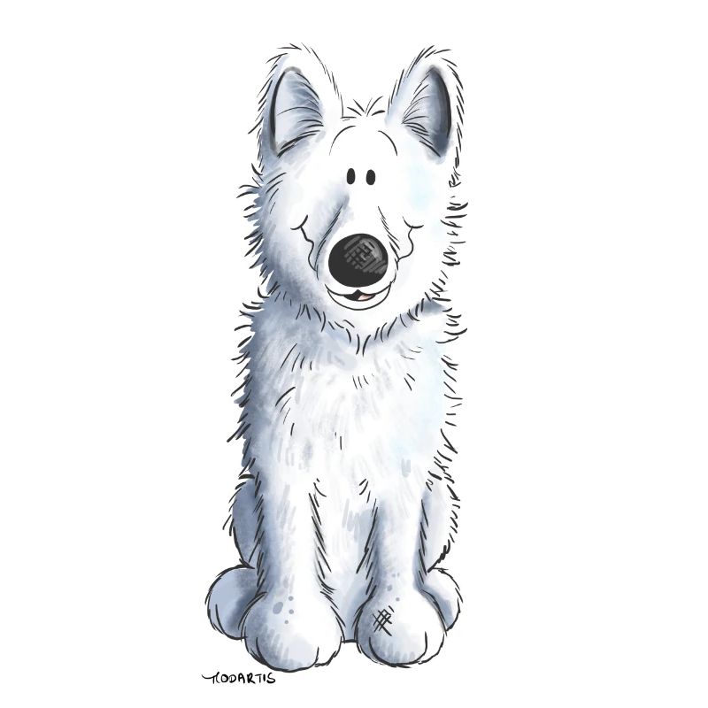 Schweizer Schäferhund