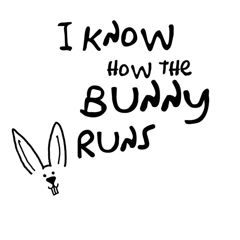 I know how the bunny runs