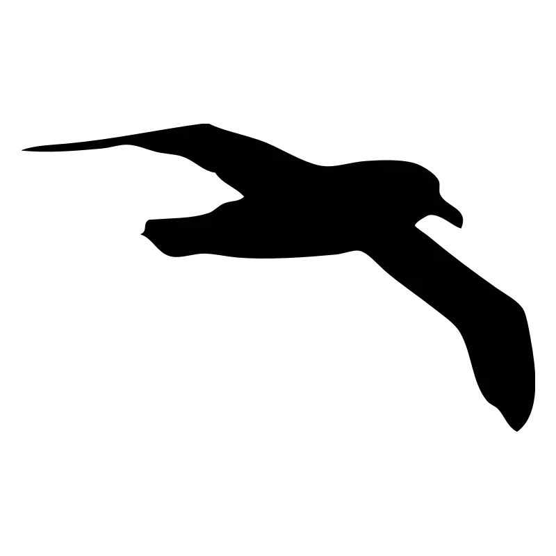 Möwe