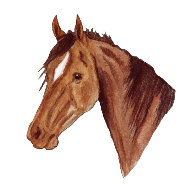 Hanoverian