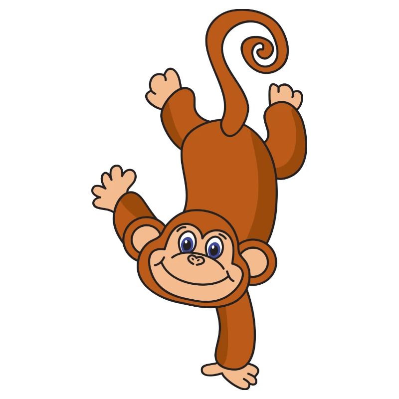 monkey