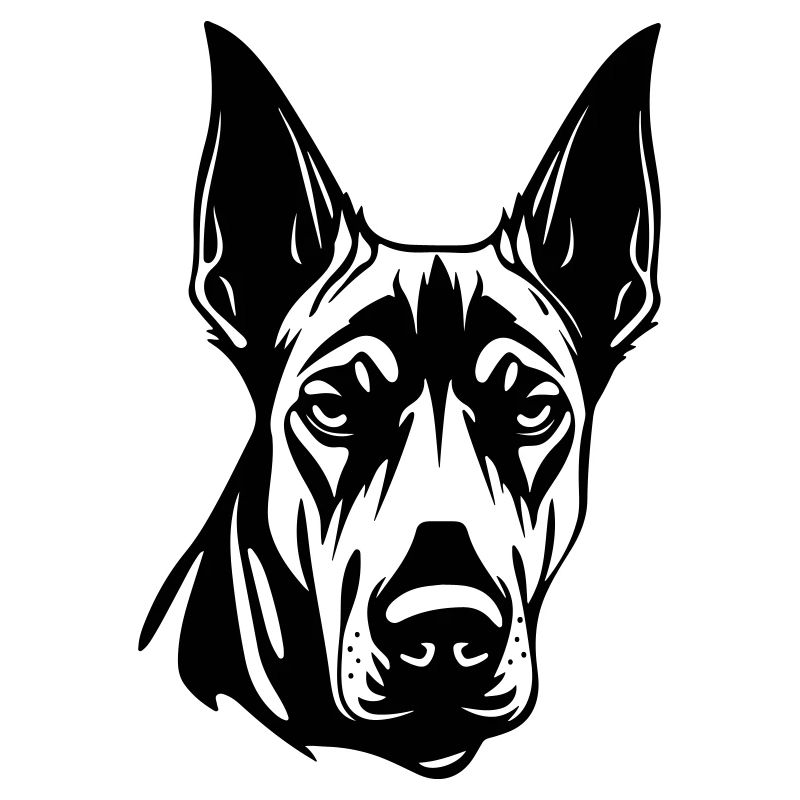 Doberman Hund Kopf