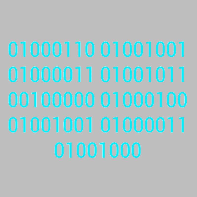 BINARY CODE / BINÄRCODE F**K DICH GESCHENKIDEE