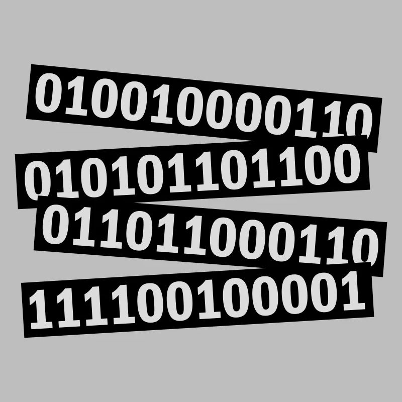 Binary Code Program Language