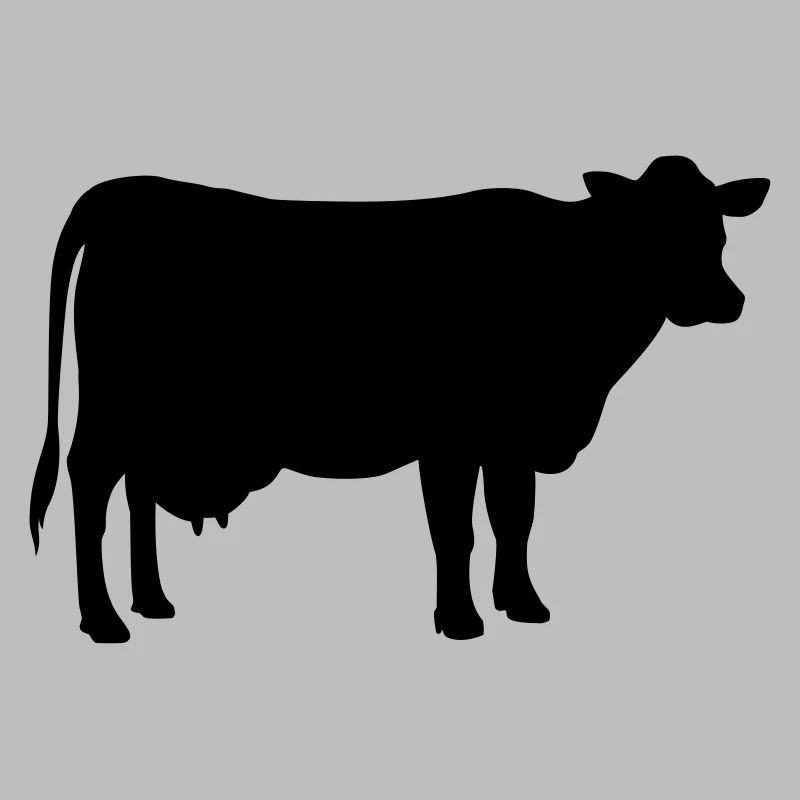 Vache