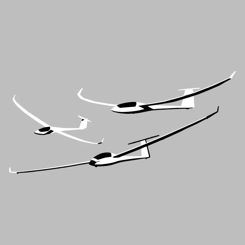 Glider Gliding Glider Glider Pilot Pilot