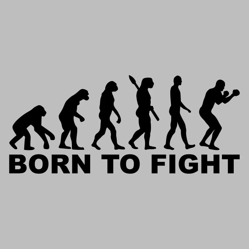 Boxe Évolution