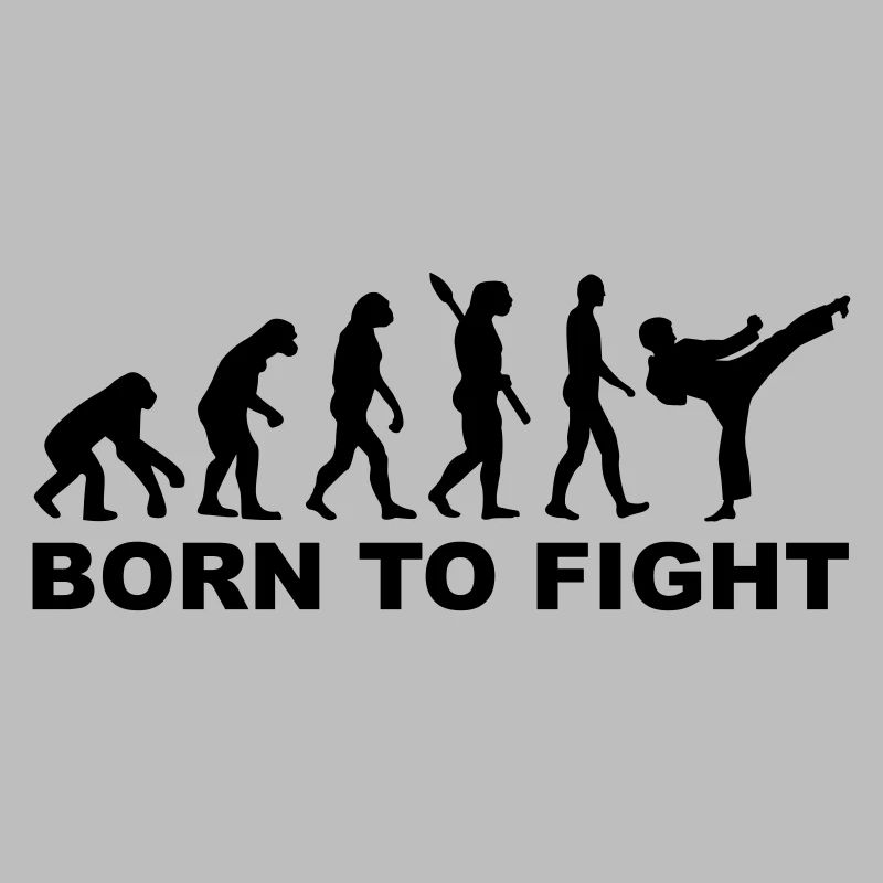 Evolution Karate
