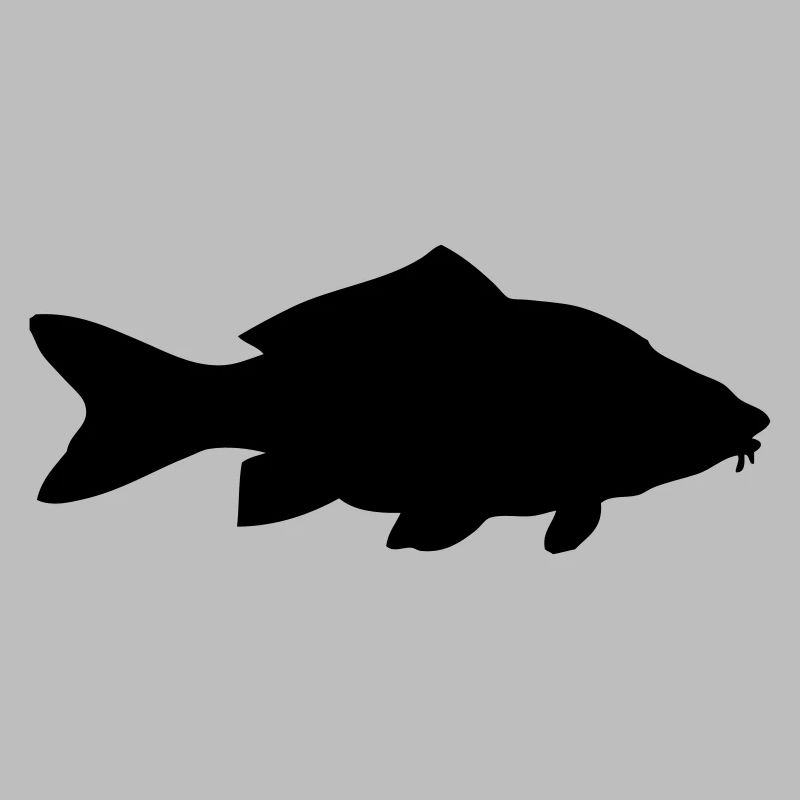 Karpfen - Fisch - Fish