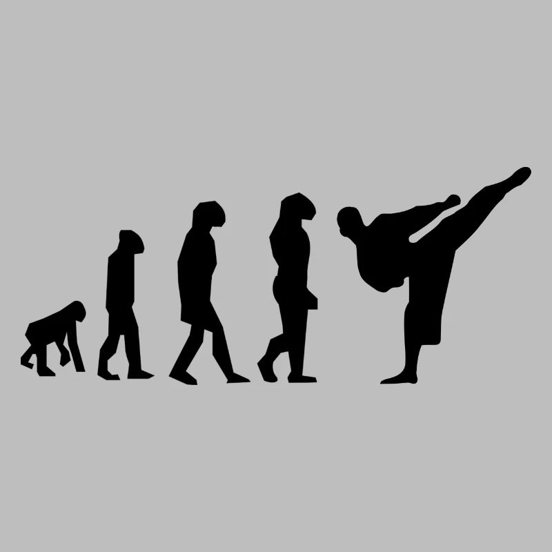 évolution karaté