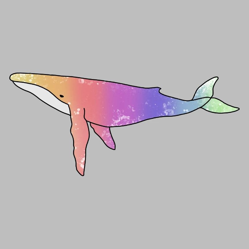 Wal Regenbogen Version