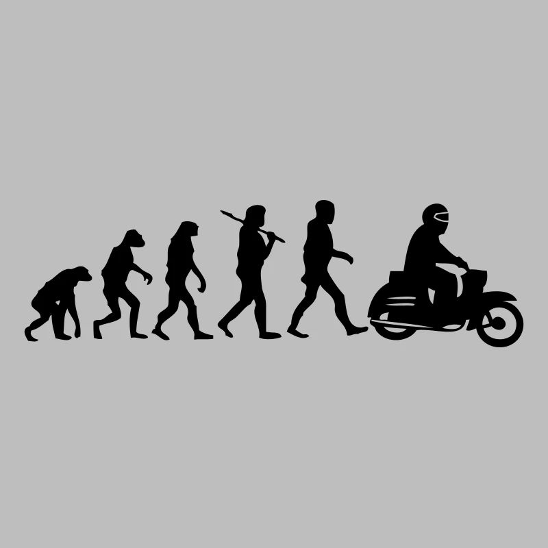 schwalbenevolution