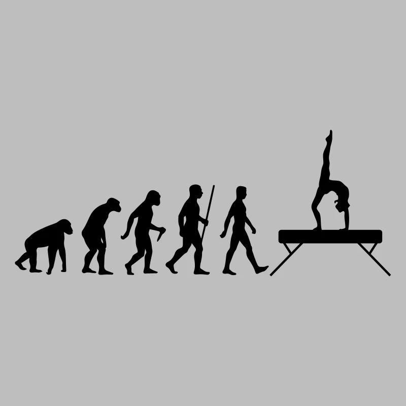 Evolution Schwebebalken