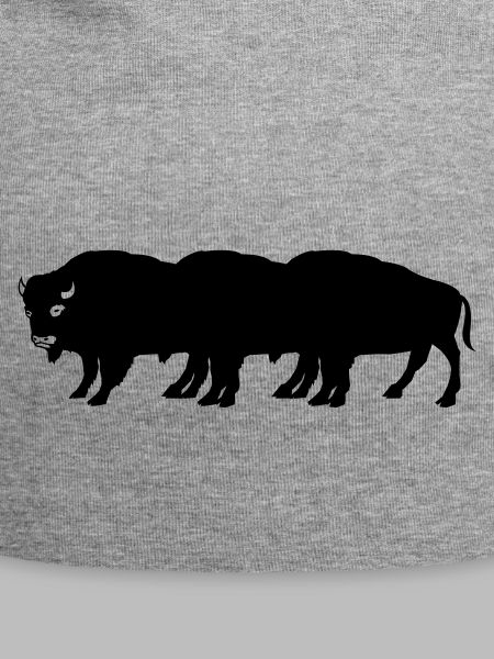 bisons