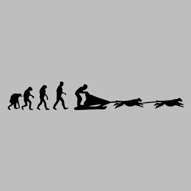 hundeschlitten evolution