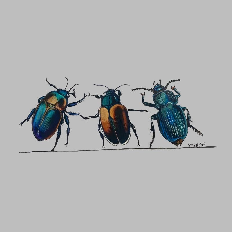 3Käfer