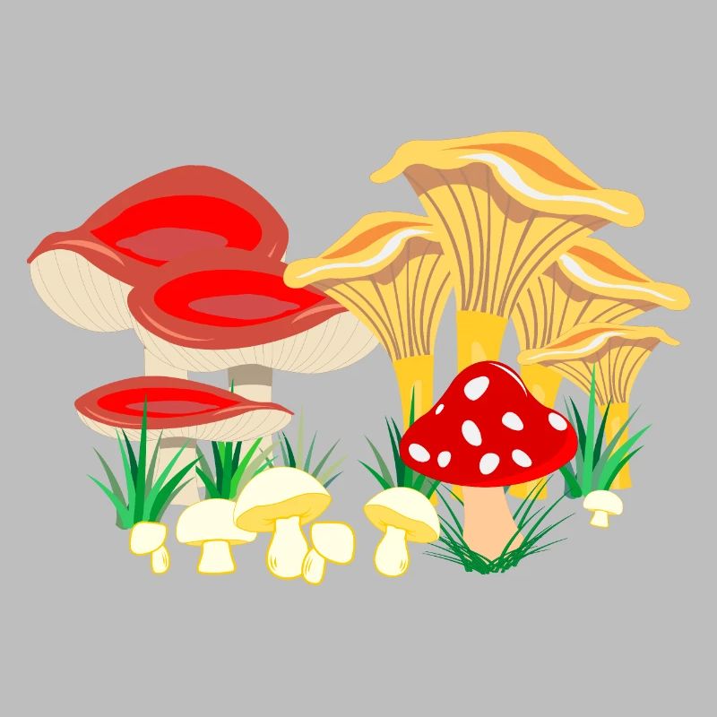 Composition colorée des champignons