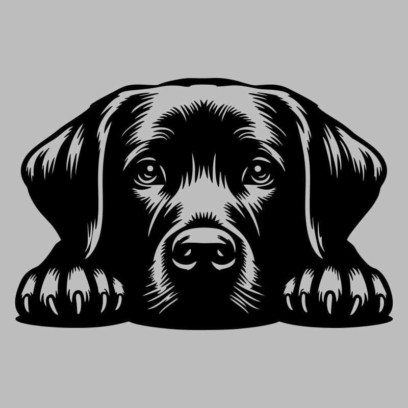 Labrador Head with Paws