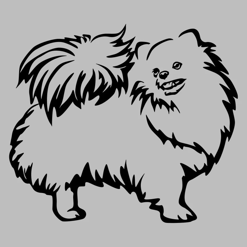 Dwarf spitz