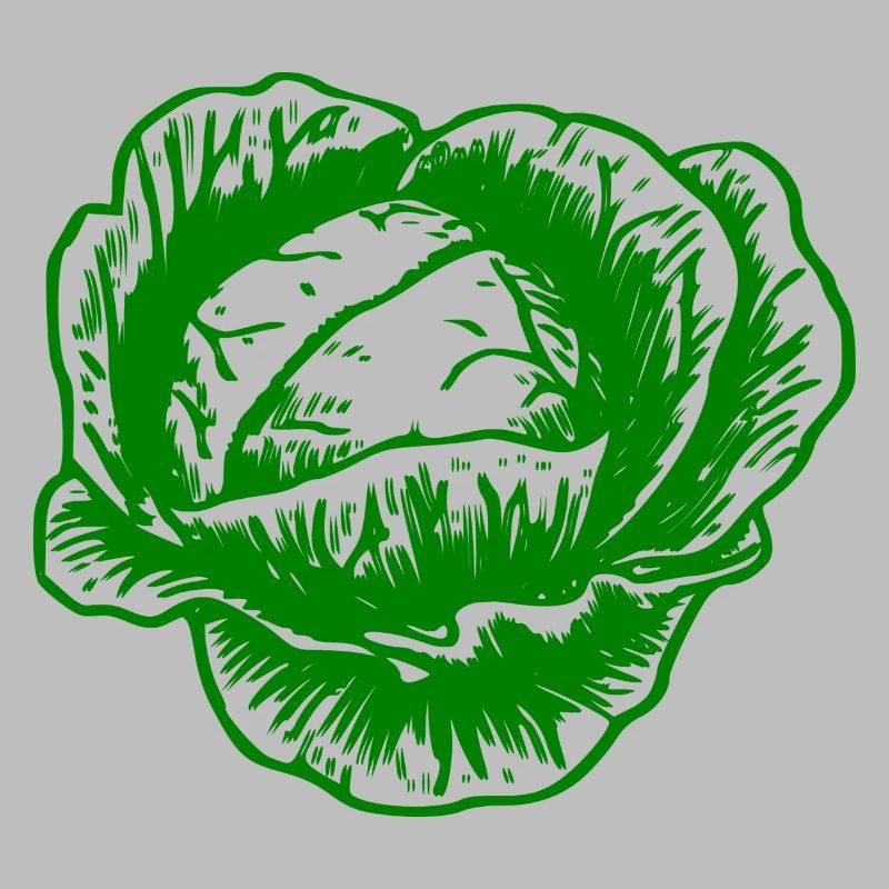 cabbage red cabbage white cabbage cabbage kale veggie gemuese