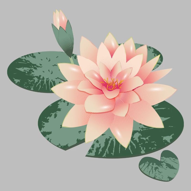 Fleur de nénuphars avec bourgeon dans l’étang de nénuphars