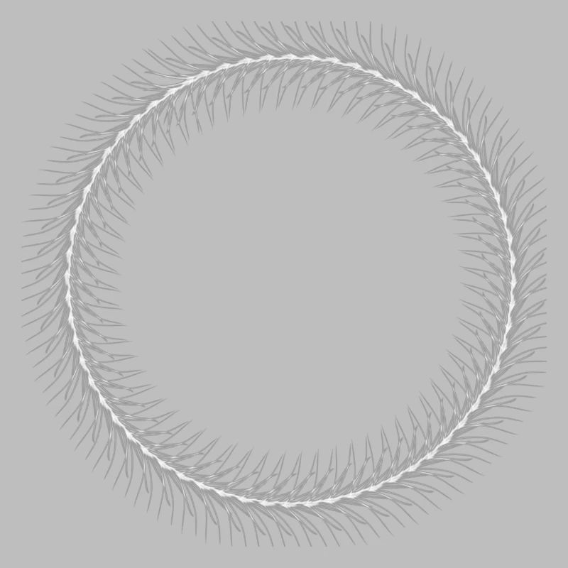 Circle - Ring - Shape - Round - Spring Ring White