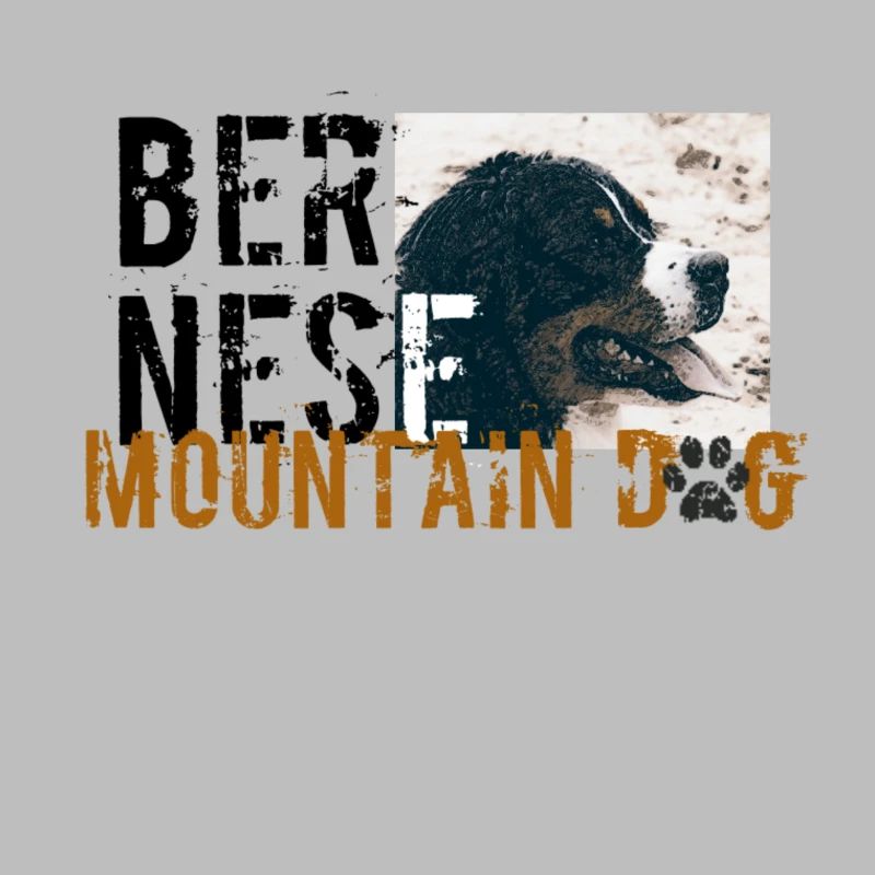 Berner Mountaindog