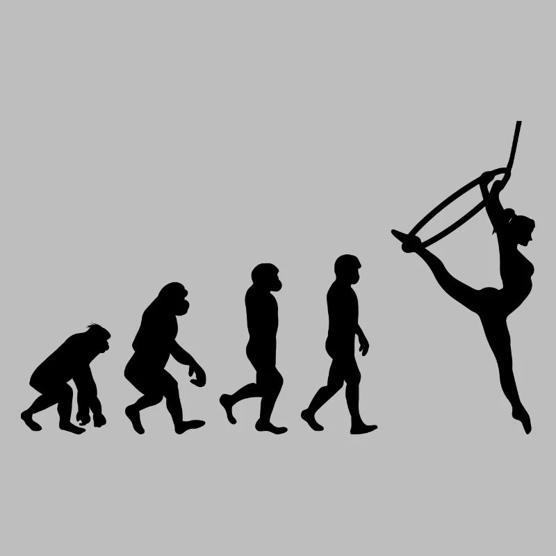 Luft Reifen Lyra Seide Zirkus Akrobatik Evolution