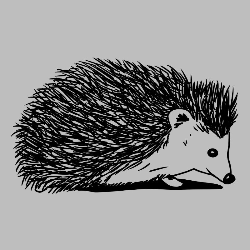 Igel
