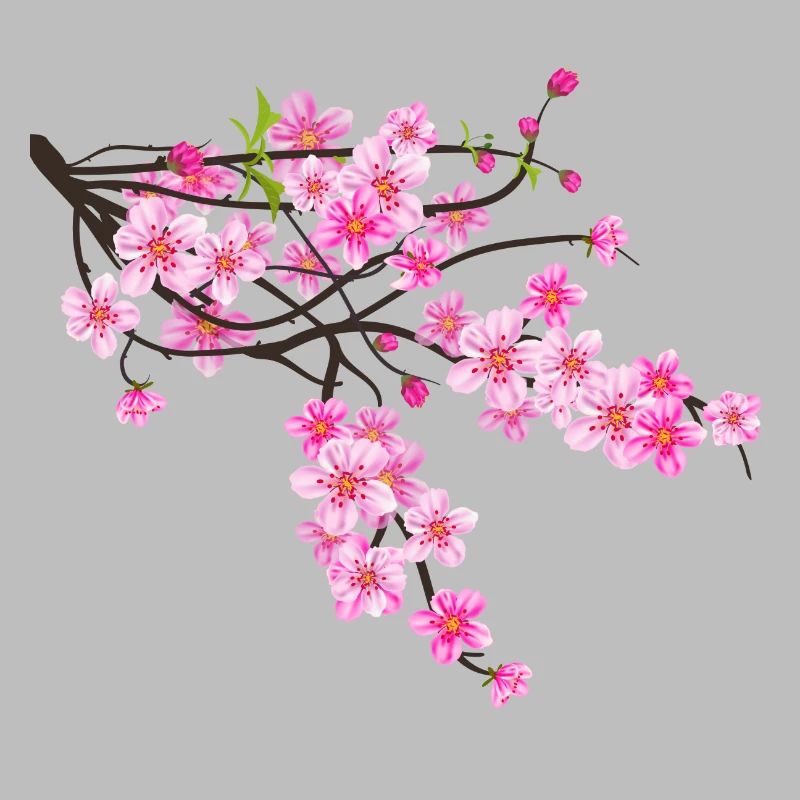 Fleur de Sakura