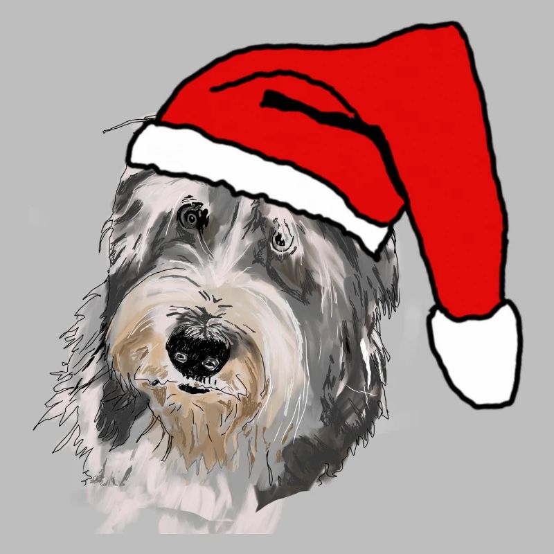 Bearded Collie
