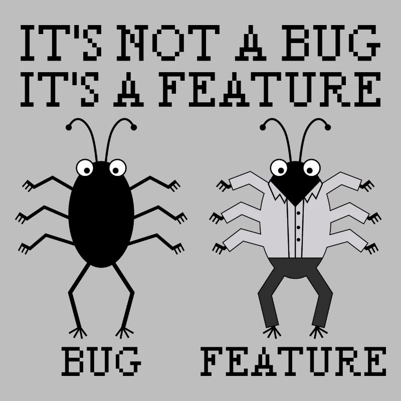It’s not a bug programming informatique cadeau