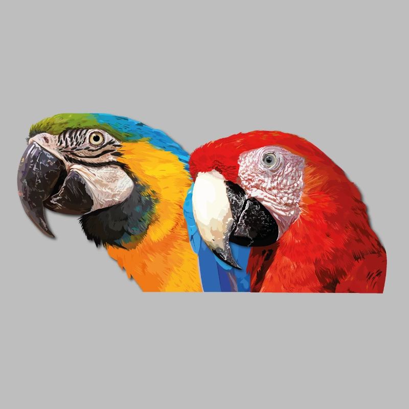 Macaws