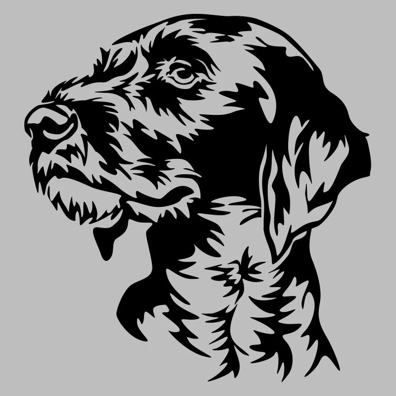 German Wirehaired Pointer head