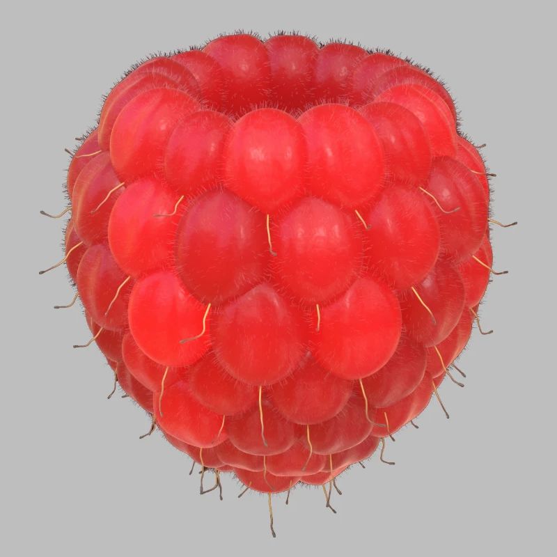 Modèle de grappe de framboises