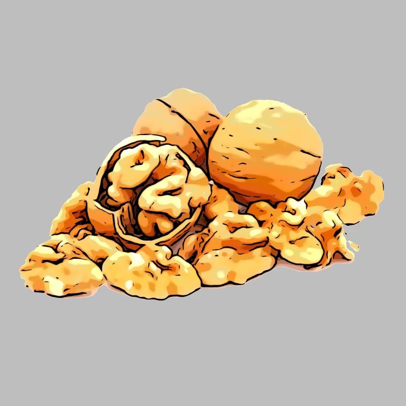 Walnuts walnut image graphic symbol