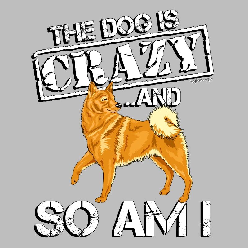 Finnish Spitz Crazy