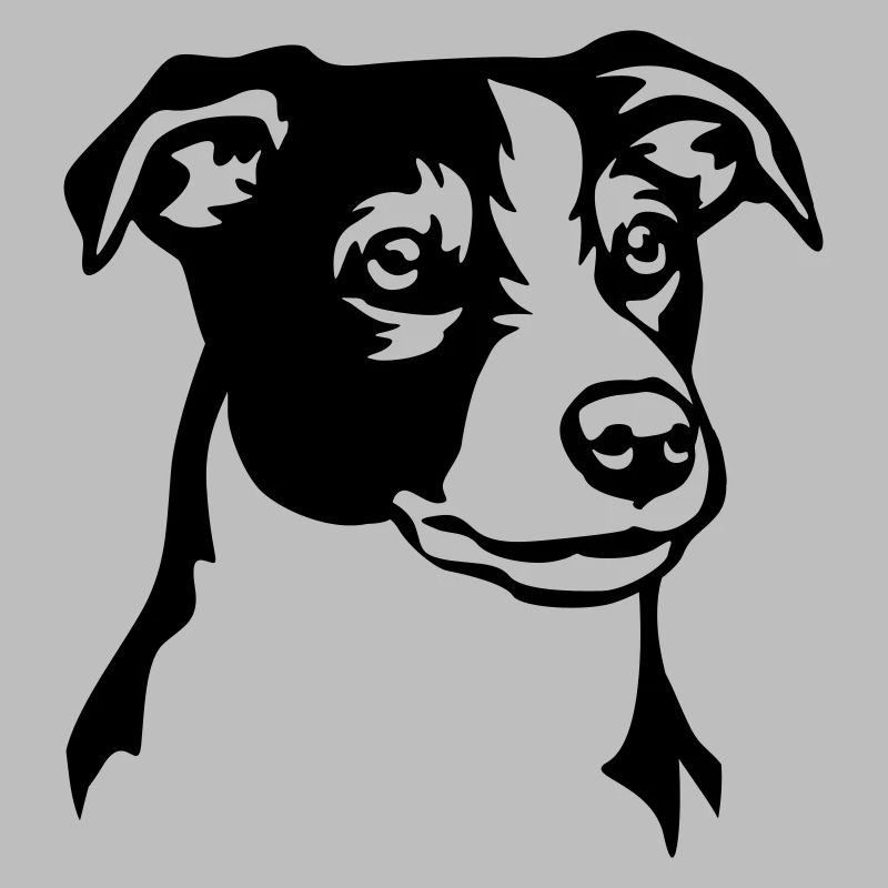 Jack Russell Terrier Head